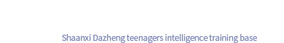 陕西大正教育科技有限公司